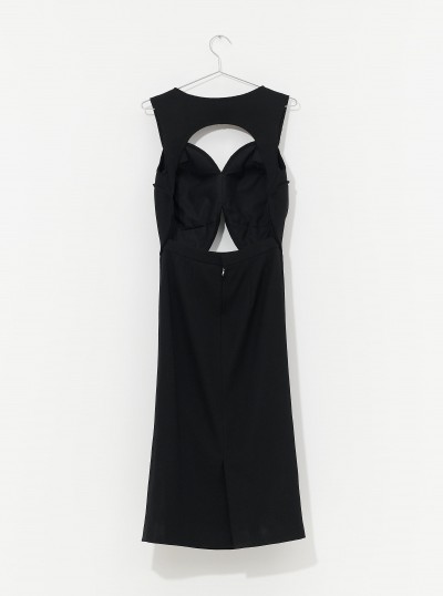 Ladies' Dress 2