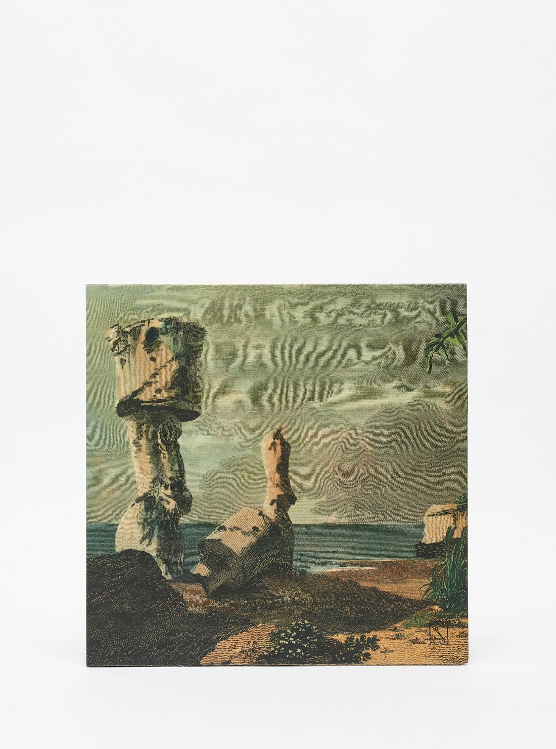 Rse Flying Fish Ambience vinyl