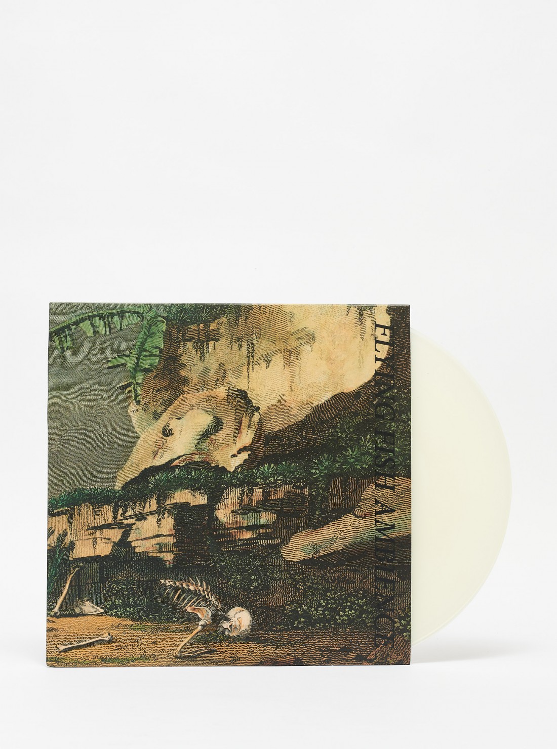 Rse Flying Fish Ambience vinyl