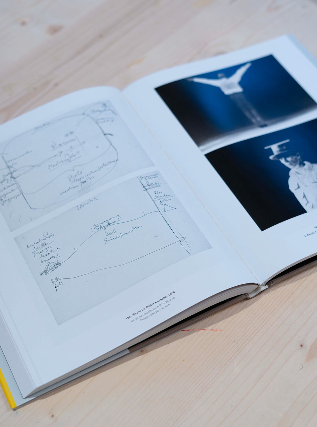 Joseph Beuys - The Essential