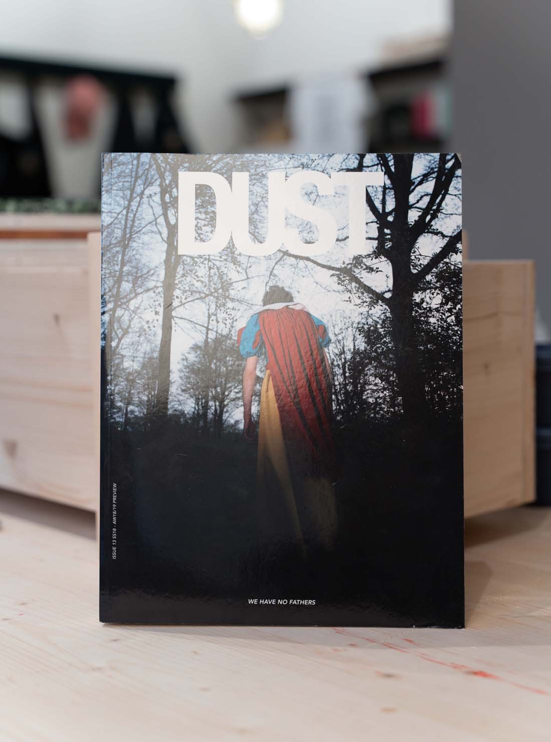 Dust Magazine Issue 13