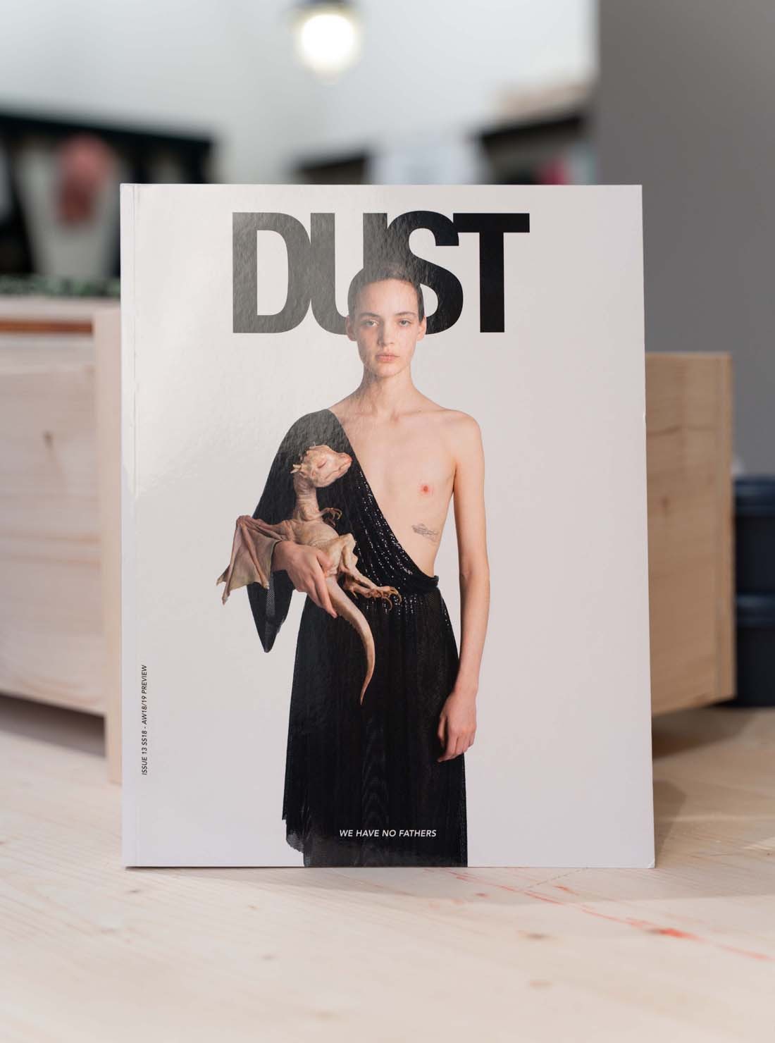 Dust Magazine Issue 13