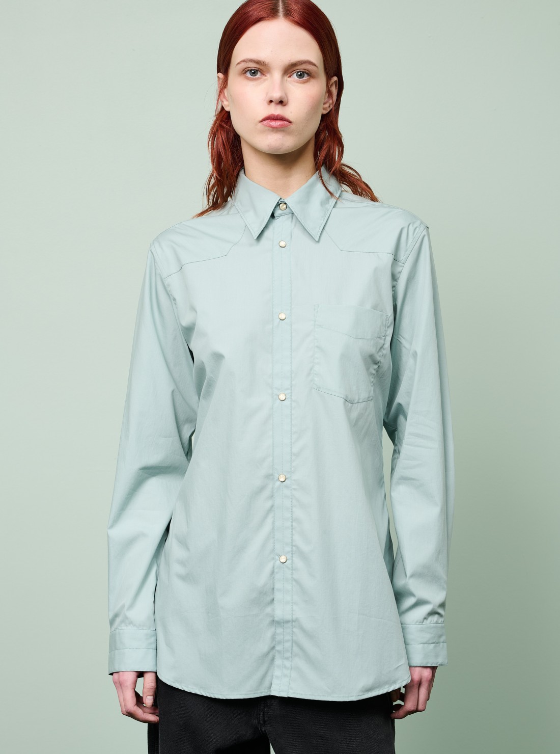 Western Fitted Shirt