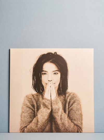 Bjork / Debut