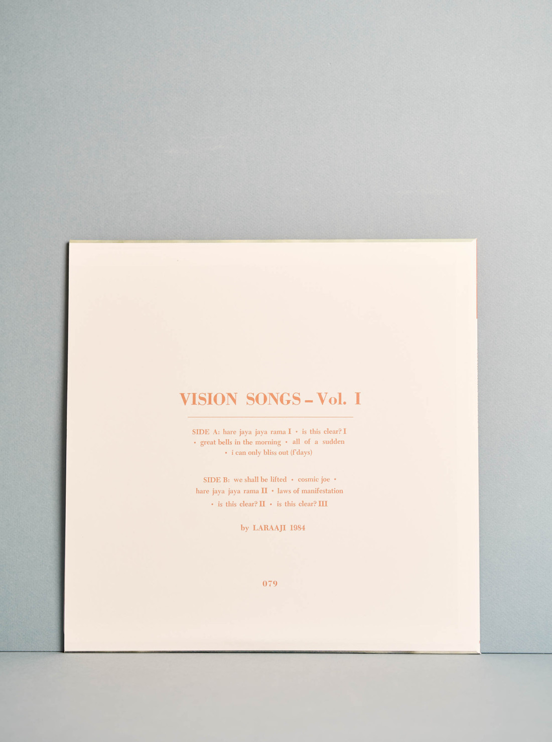 Laraaji / Vision Songs