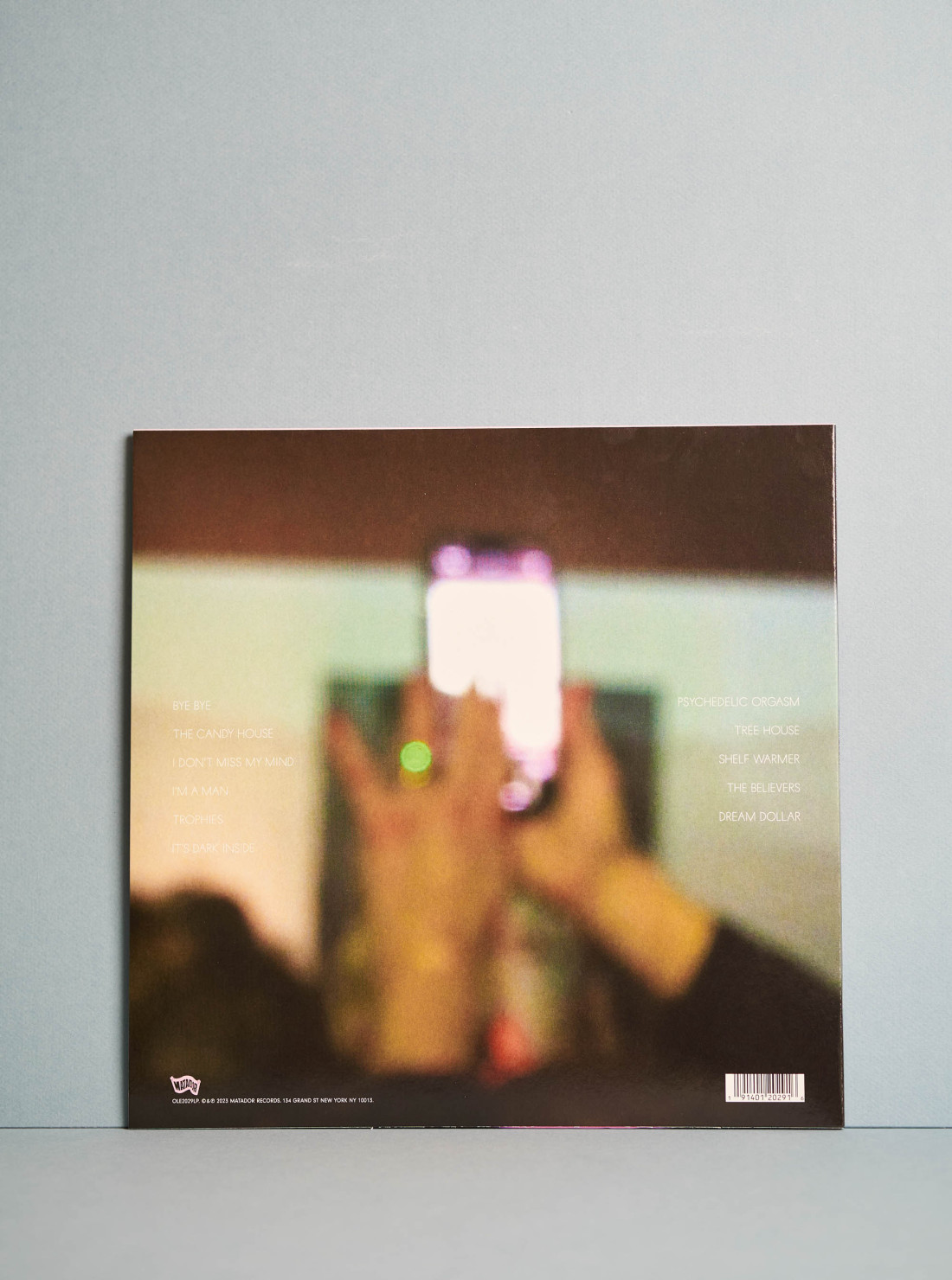 Kim Gordon / The Collective vinyl