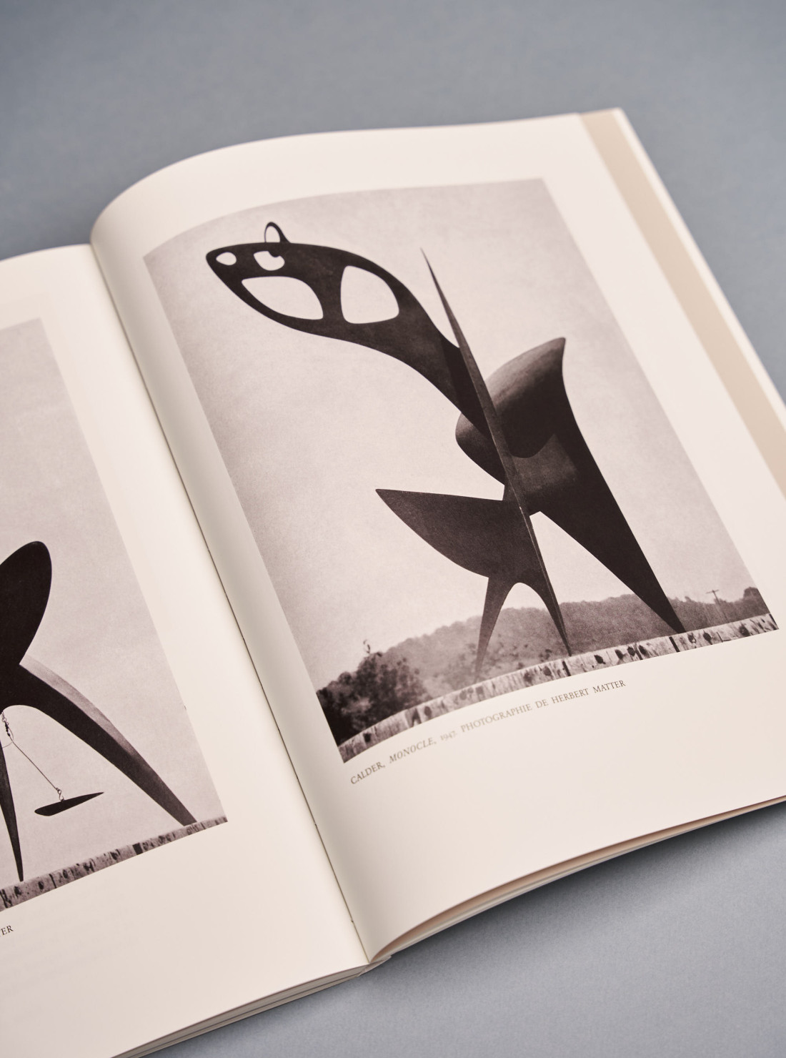 Calder en France
