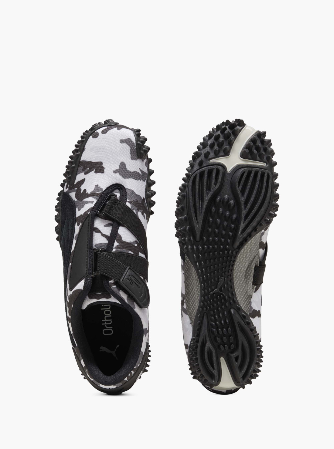 Mostro Camo