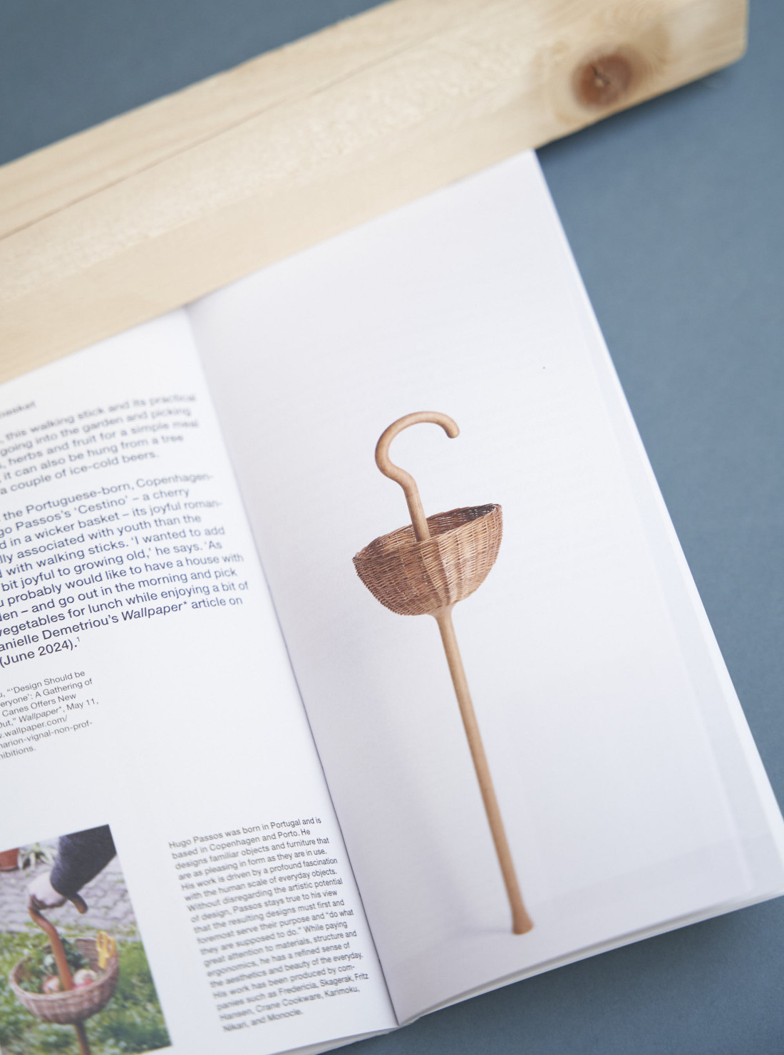 Walking Sticks
