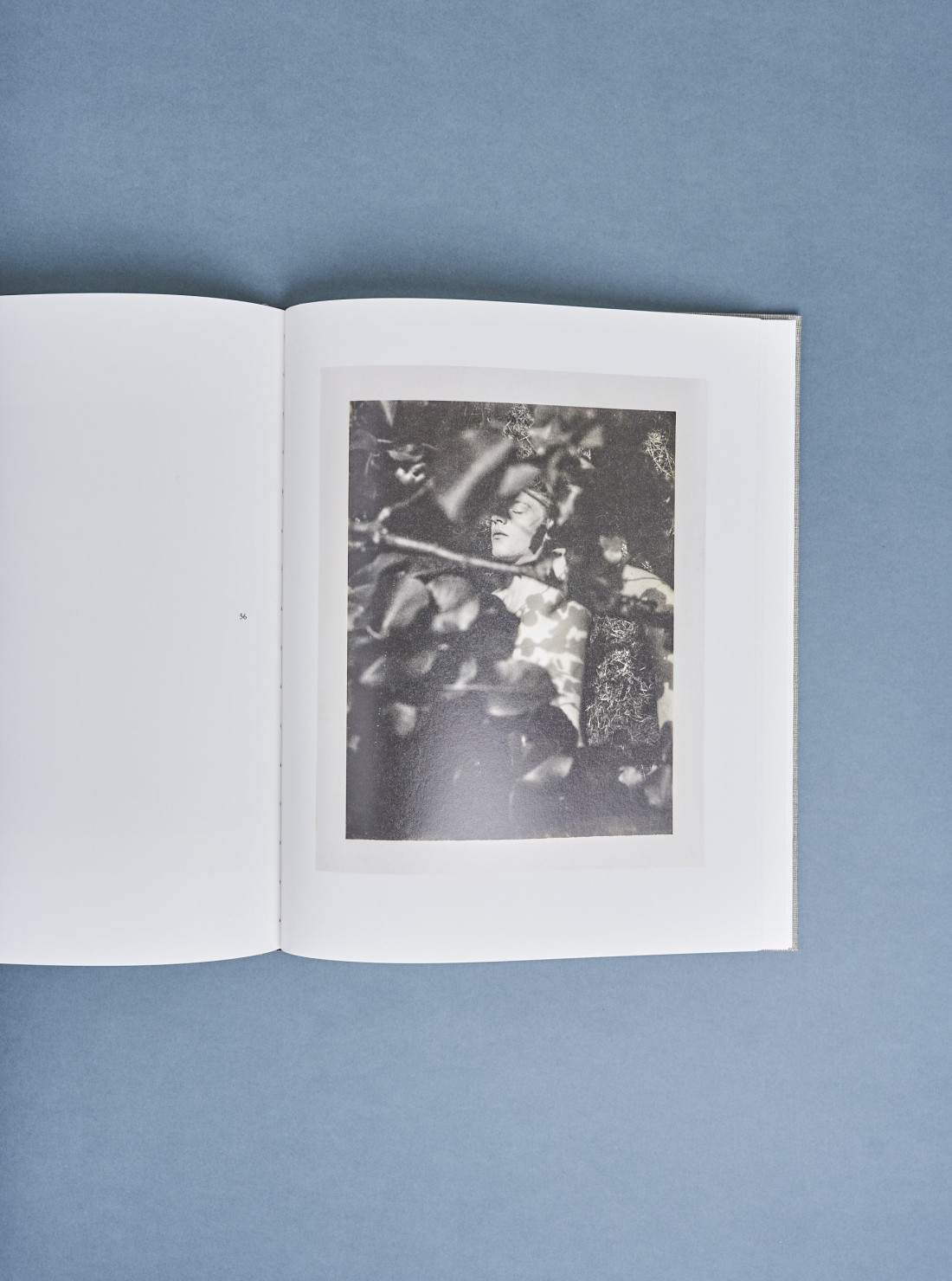 Collier Schorr / August