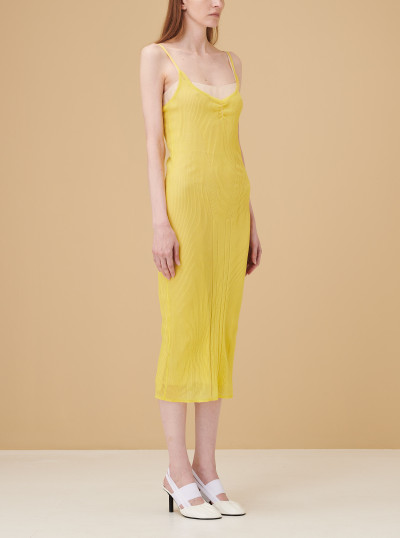 Justaucorps Dress 2