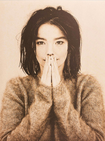 Bjork / Debut vinyl