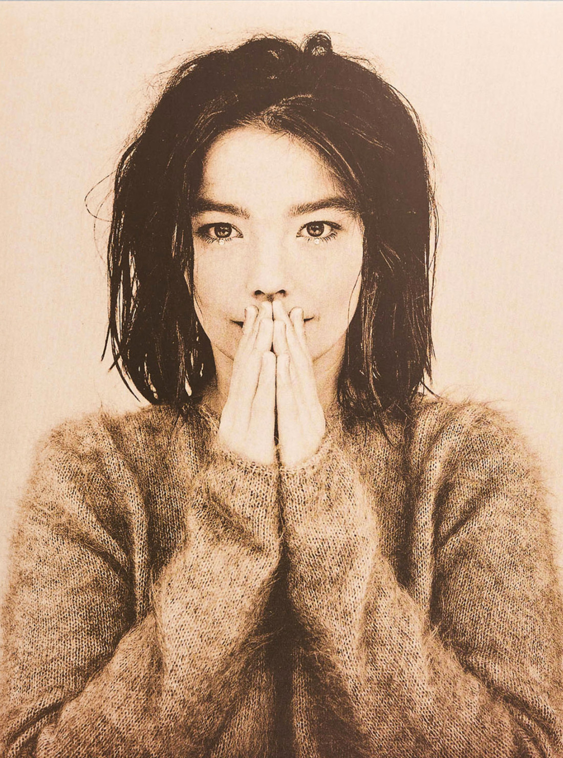 Bjork / Debut vinyl