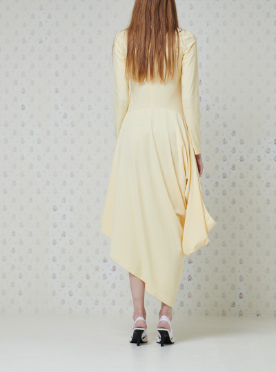 Pivote Lycra Dress 2