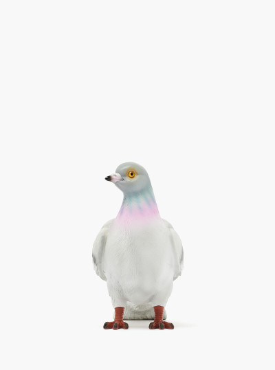 Pigeon clutch in grey 2