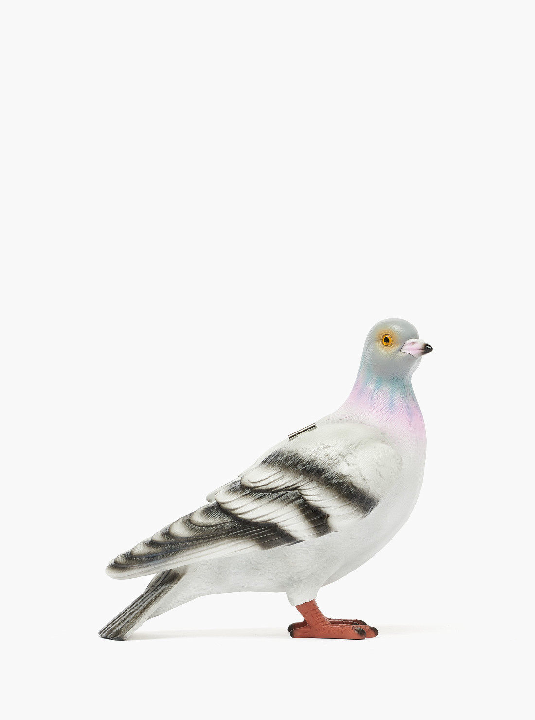 Pigeon Clutch