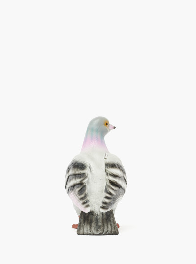 Pigeon Clutch 2