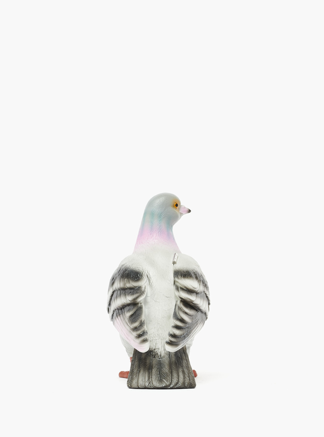 Pigeon Clutch