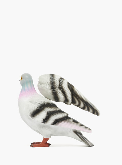 Pigeon Clutch 2