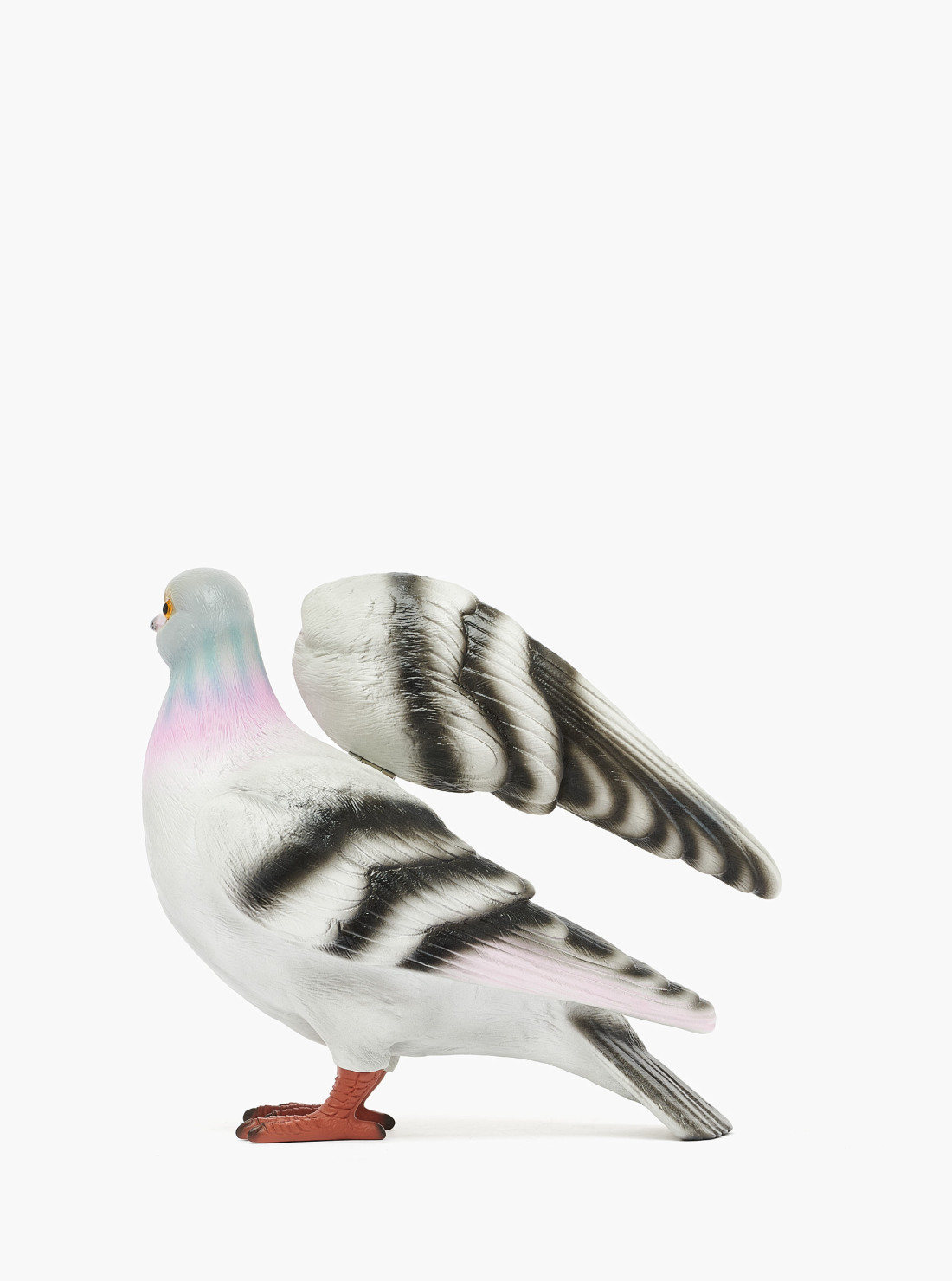 Pigeon Clutch