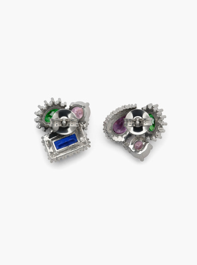 Puces d'oreilles Cluster 2