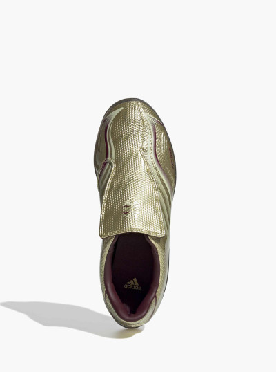 W F50 Adiframe 2