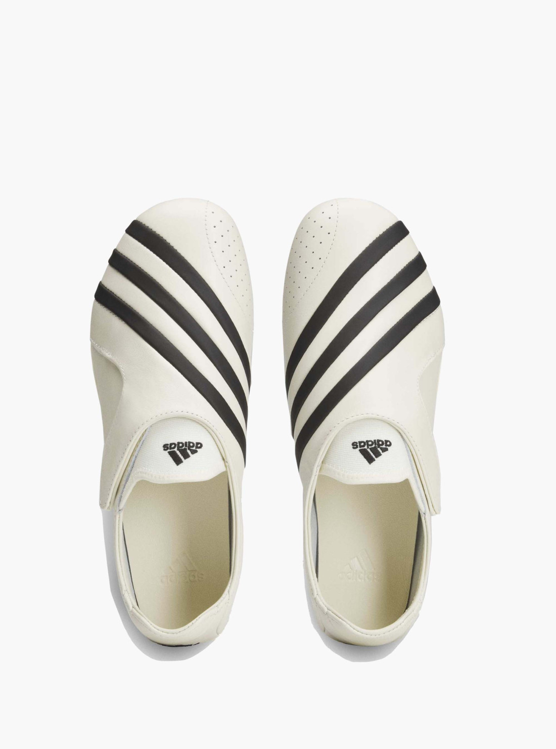 Virginia Vario Flat Earther by Pharrell